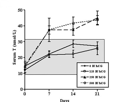 Increased testosterone by HCG dosage chart.