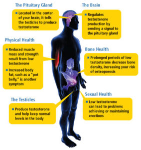 testosterone body causes hypogonadism sintomi specialties allyogapositions cents