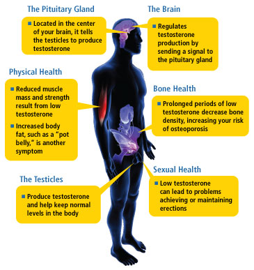 Assorted Low Testosterone Symptoms.